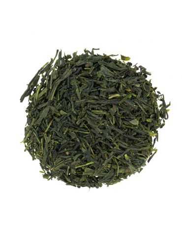 Sencha