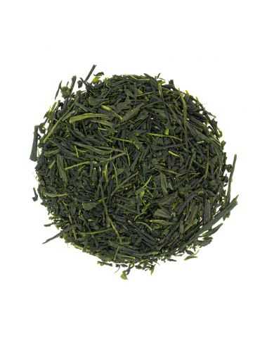 Sencha Yabukita